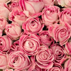 💕Ⓢ♡Ⓐ♡Ⓝ♡Ⓐ💕