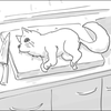 フズエナガ☀️‎ᐢ⓿ᴥ⓿ᐢ