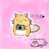 🐈通りすがりの猫🐈