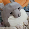 あき🦊