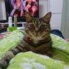 ながさん