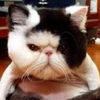 きゅ( ;ᾥ; )