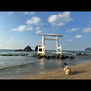 ソナム Aries ぺルデン🫶🍂