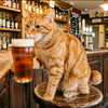 まんだ🐈🍶