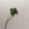 な な 