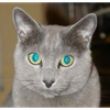 ༺꧁🥀つぐひろ🐈‍⬛꧂༻