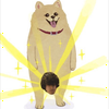 シャツワンピ太郎