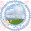 透明な追放者【ミクチャ公認】🐰🎀