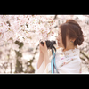 ちい♯着物女子牡丹1🌹🌹