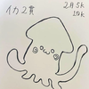 イカ2貫ᔦ๑° ꒳ °๑ᔨ