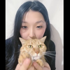 ヘッド