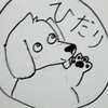 エゾイソアイナメ👈ひだり