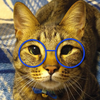 えいじ🐱💙✨️