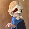 舎弟S