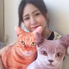 みきた🐈🍶19日~