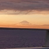 海
