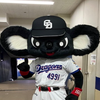 ブラックドアラ