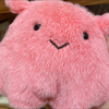 こいぬ🍒🫧
