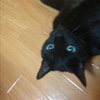 ゆいま