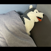 れお🐶🫰