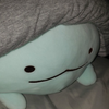 せろはん