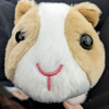 mol