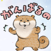 ˋˏ⳹かわうそ⳼ˎˊ