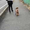 ゆうま