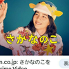 お魚