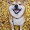 あ
