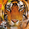 東海の虎🐯（ポチ❌）