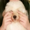 りょっぴ～