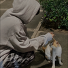 恋【れん】