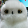 にこ