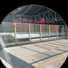 ラマちゃん本アカーです