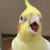 ちゅん