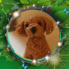 わいず🍀🐾ライバー応援