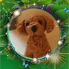 わいず🍀🐾空き時間