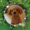 最終日🍪わいず🍀🐾掲載目標