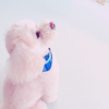 Sachi