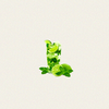 🌱ミントさんㅤ