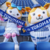 ベイっち🐰🐈‍⬛💙🩰🤡🦄☘️🍕🥀💋🕊💎