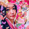 菊花🦋🪻#京雅祭👘