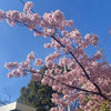 ぽむぽむ💙💜💙