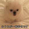 ちま