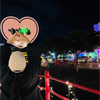 🐶ひーくん🐈💛