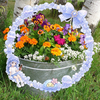 flowerﾟ･*:.｡❁pot ིྀ