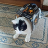 むーたろ