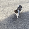 かたすみ