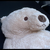 🐻さん